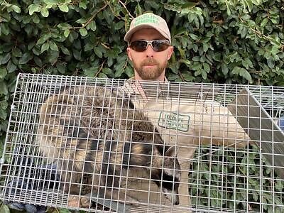 Lexington pest control
